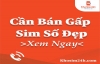 Cần bán gấp sim số đẹp, liên hệ Khosim24h.com