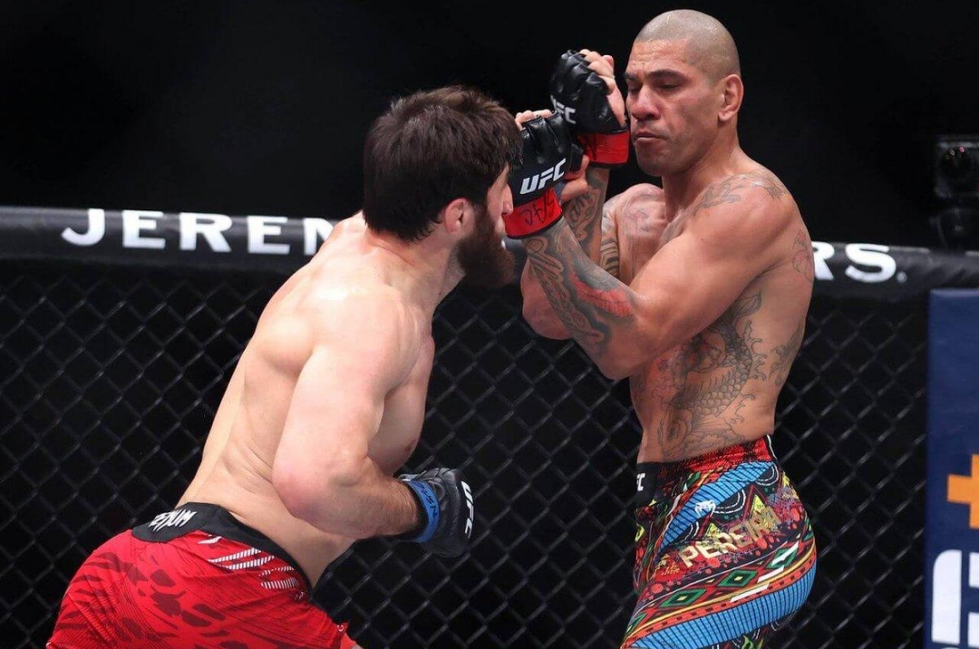 Alex Pereira nói gì sau thất bại tại UFC 313?