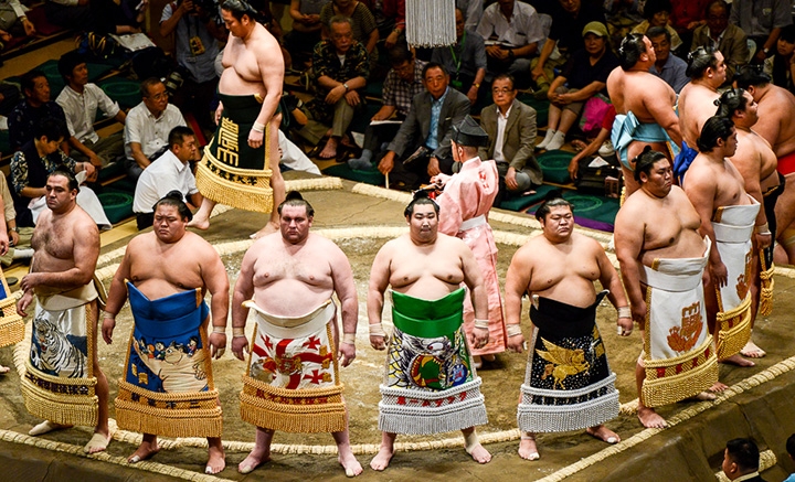 Vì sao các võ sĩ Sumo không thuộc vào nhóm người 'béo phì'?
