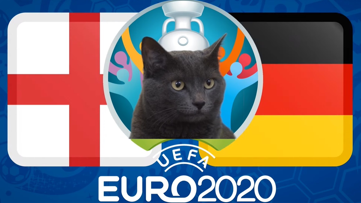 Mèo tiên tri dự đoán Anh vs Đức: Gợi ý đáng lưu tâm