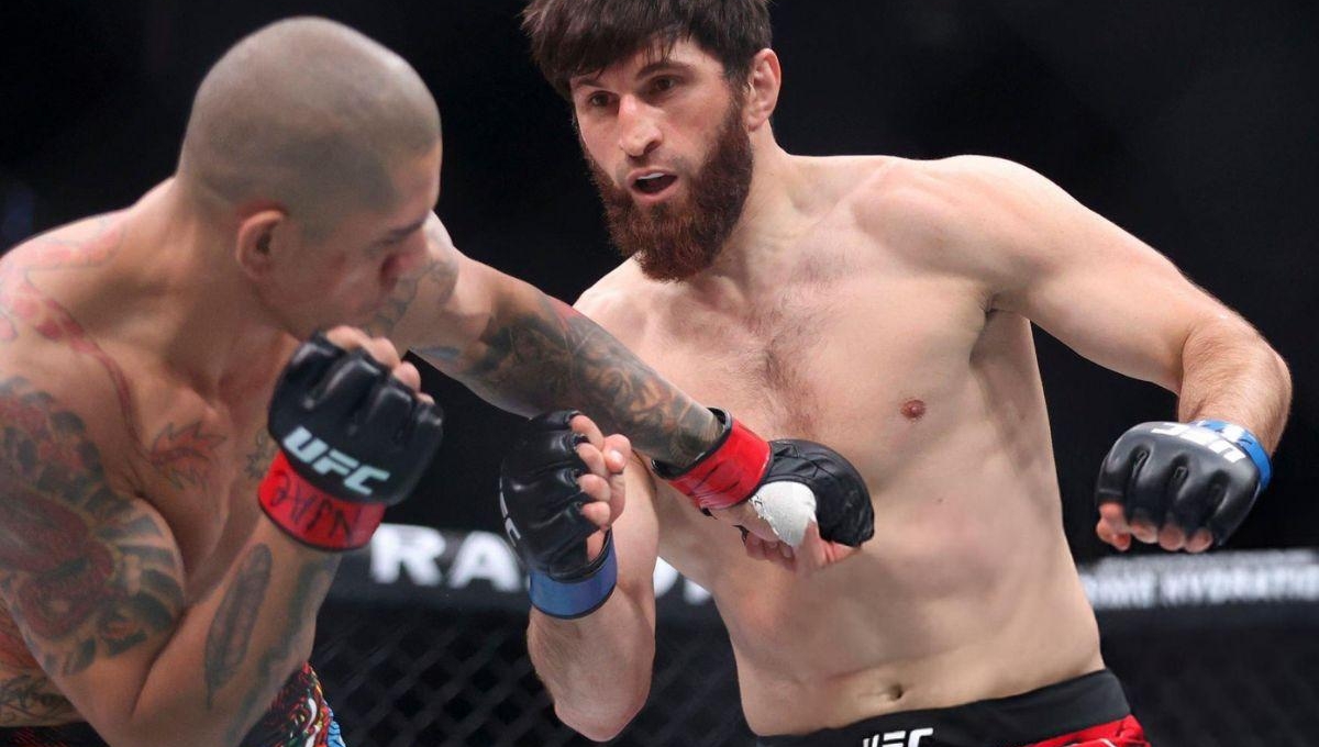 Magomed Ankalaev: 'Alex Pereira hết vị rồi, hắn không trở lại đâu'