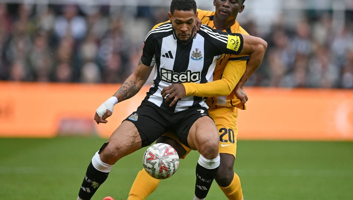 Nhận định Brighton vs Newcastle: Có trên 2,5 bàn thắng