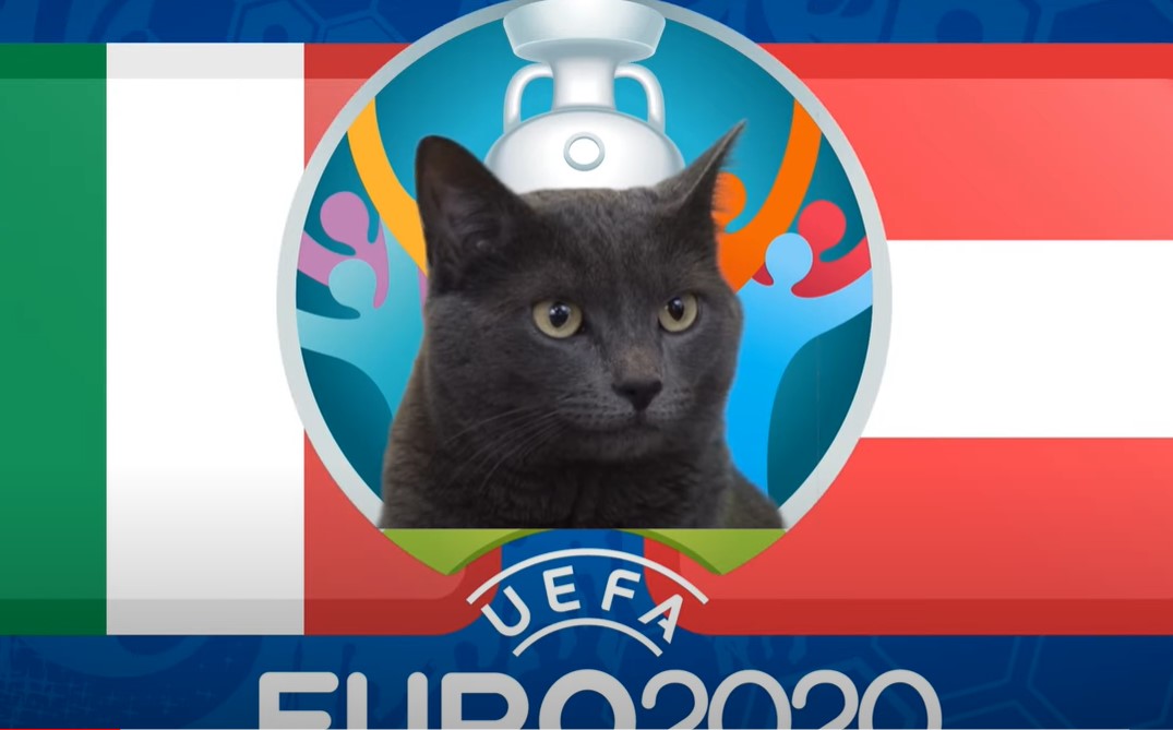 Mèo tiên tri dự đoán Italia vs Áo: Kết quả uy tín!