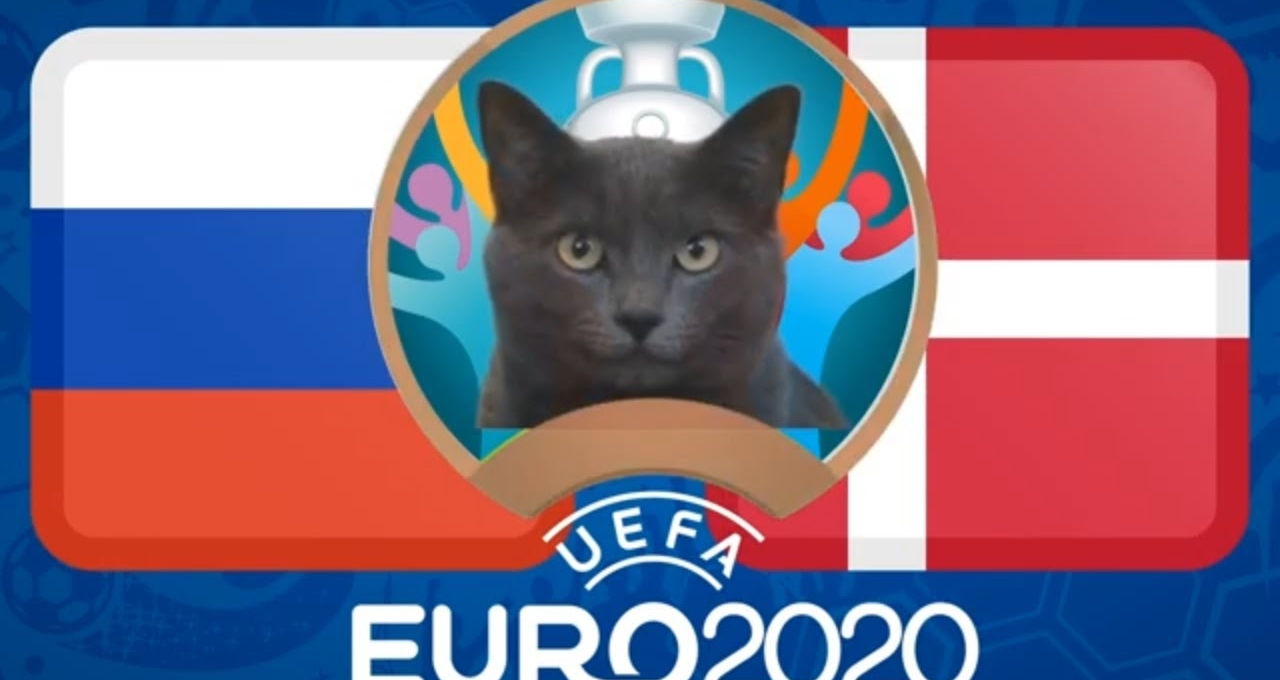 Mèo tiên tri dự đoán Nga vs Đan Mạch: Thắng lợi kịch tính?