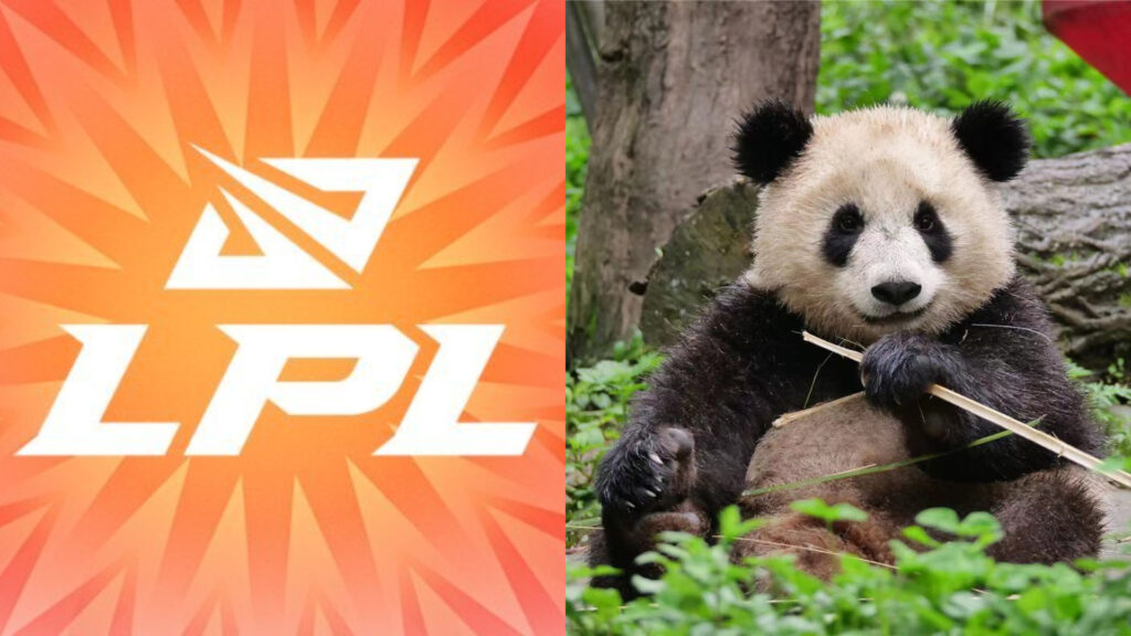 Giải đấu LMHT LPL của Trung Quốc nhận nuôi một chú gấu trúc khổng lồ