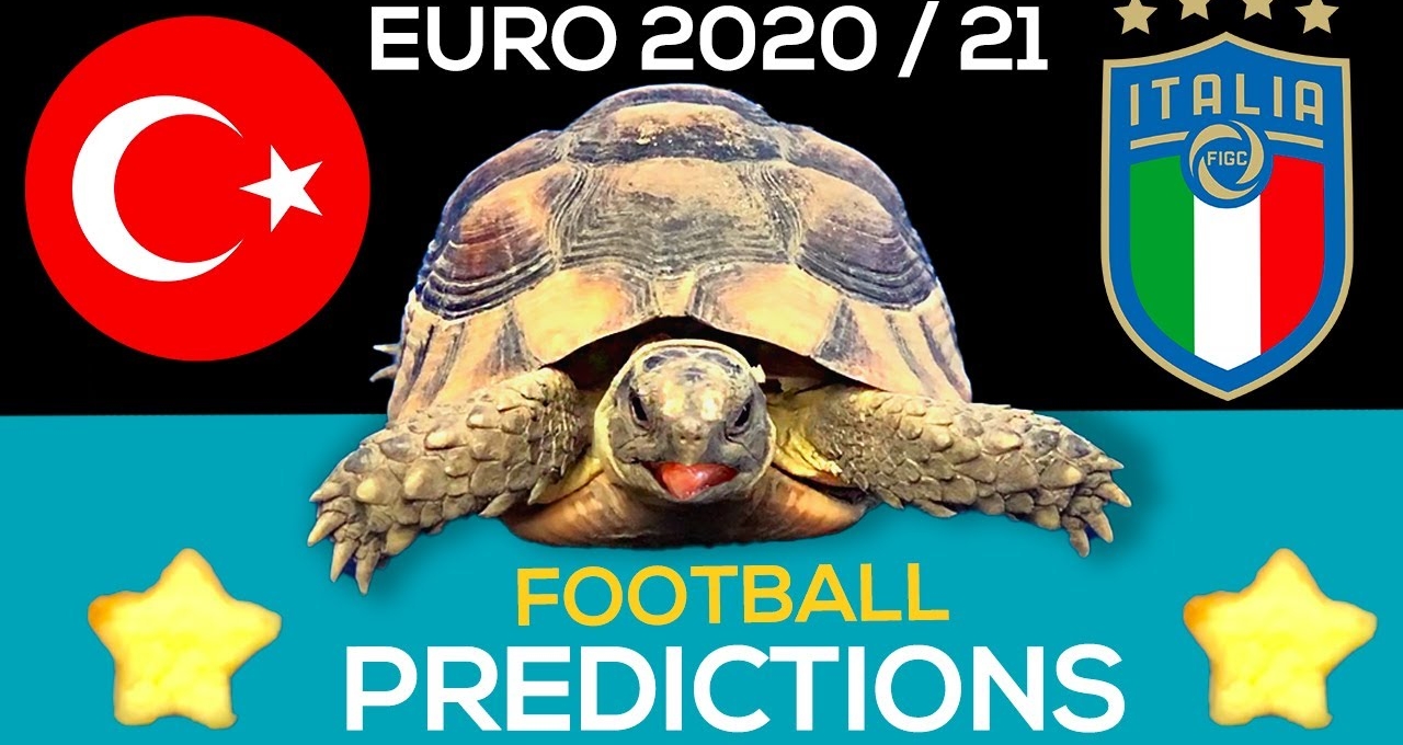 Thần Rùa tiên tri dự đoán kết quả Thổ Nhĩ Kỳ vs Italia: Khó tạo bất ngờ