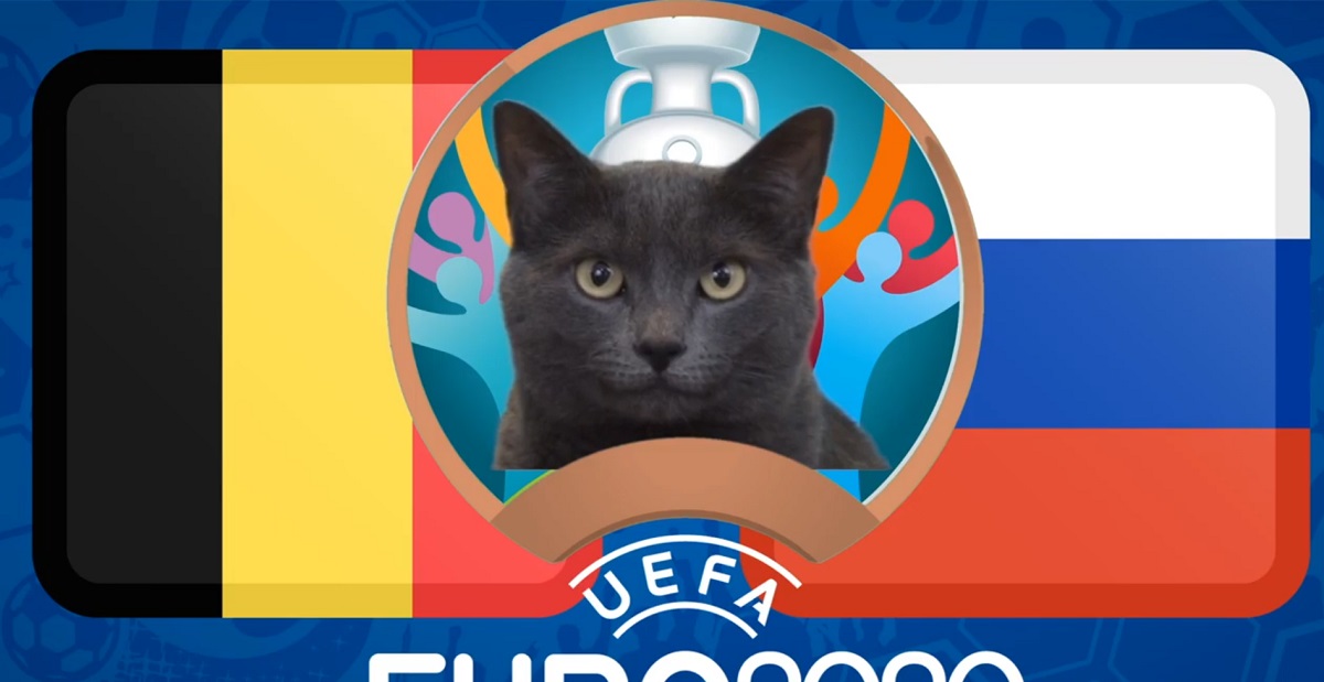 Mèo tiên tri dự đoán Bỉ vs Nga: Chiến thắng cho kẻ mạnh