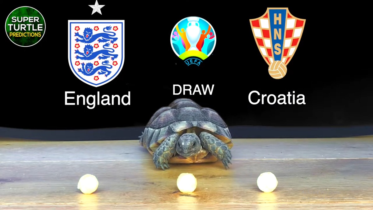Thần Rùa tiên tri dự đoán kết quả Anh vs Croatia: Tam sư đại thắng?