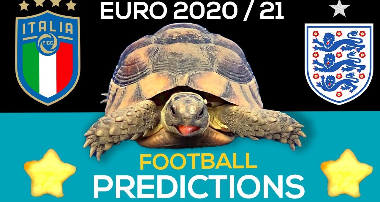 Thần Rùa tiên tri dự đoán kết quả Ý vs Anh: Uy tín!