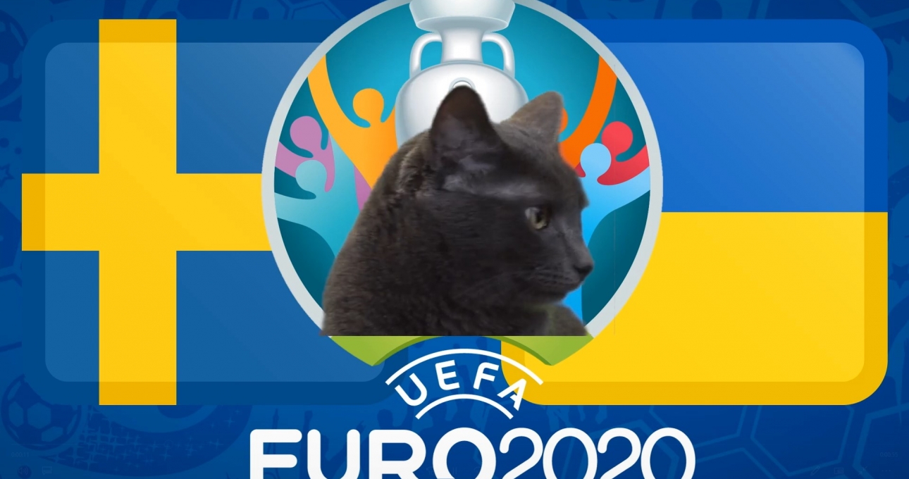 Mèo tiên tri dự đoán Thụy Điển vs Ukraina: 'Cửa dưới' méo mặt!