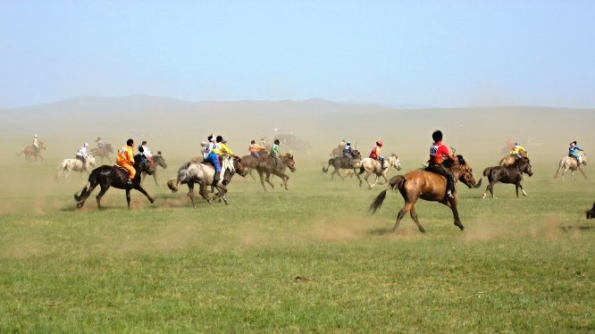 Ngựa Mông Cổ có gì đặc biệt?