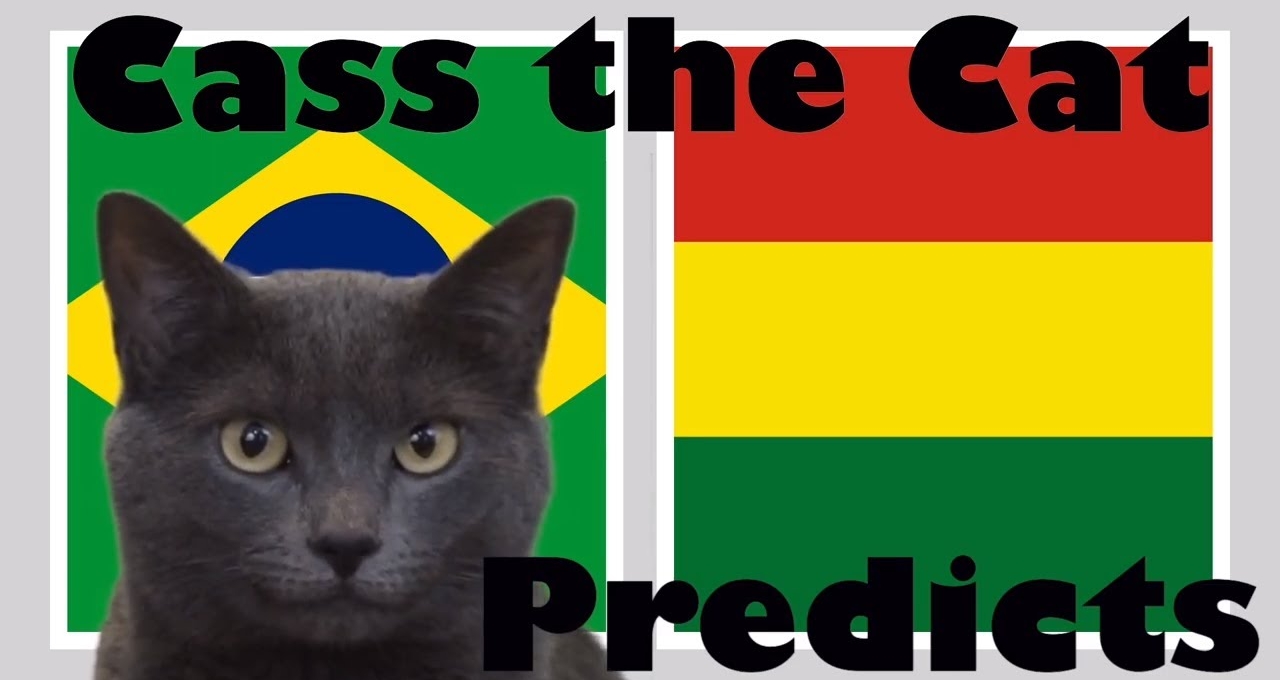 Mèo tiên tri dự đoán kết quả Brazil vs Boliva: Ra quân thuận lợi