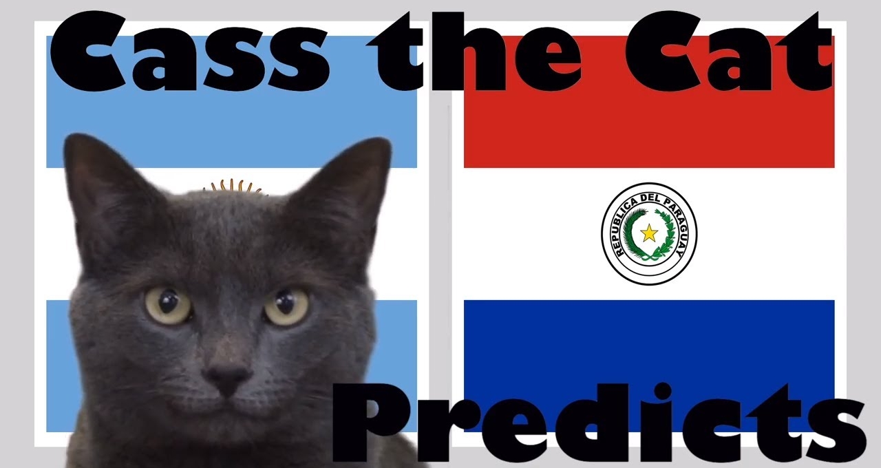 Mèo tiên tri dự đoán kết quả Argentina vs Paraguay: Cơ hội mong manh