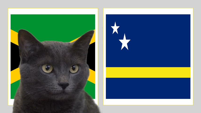 Mèo tiên tri dự đoán kết quả Jamaica vs Curacao: Khó cho ĐKVĐ King's Cup
