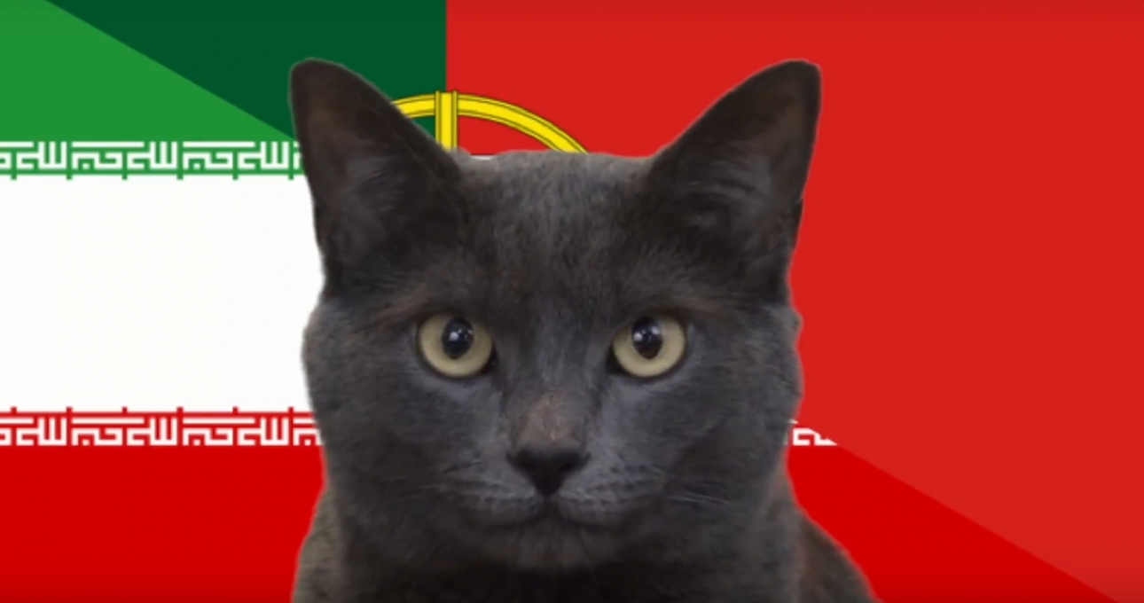 Mèo tiên tri dự đoán kết quả Bồ Đào Nha vs Iran