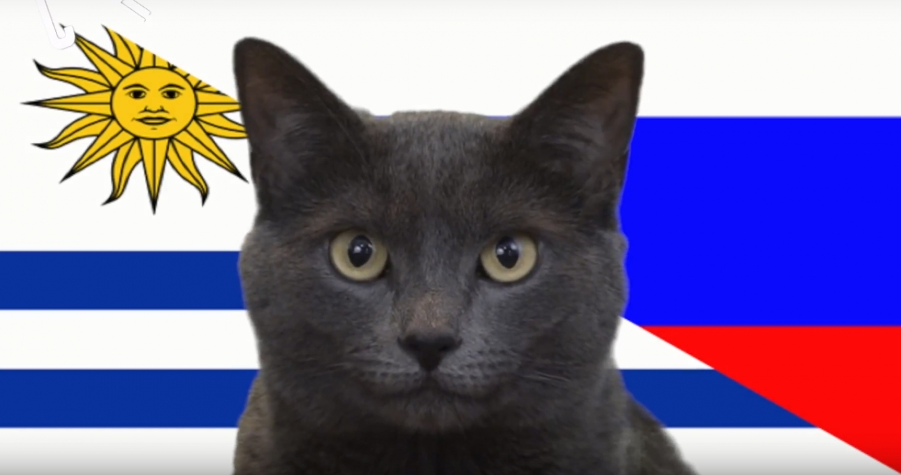 Mèo tiên tri dự đoán kết quả Nga vs Uruguay