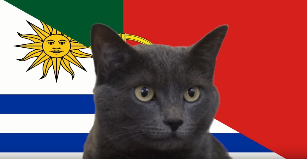 Mèo tiên tri dự đoán Bồ Đào Nha vs Uruguay: Nên bắt Ronaldo
