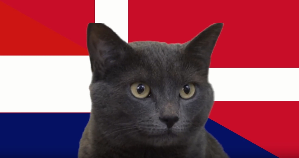 Mèo tiên tri dự đoán kết quả Croatia vs Đan Mạch