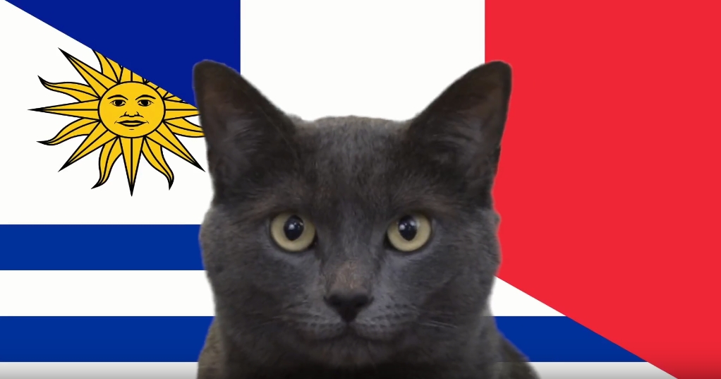 Mèo tiên tri dự đoán Pháp vs Uruguay: Lựa chọn bất ngờ