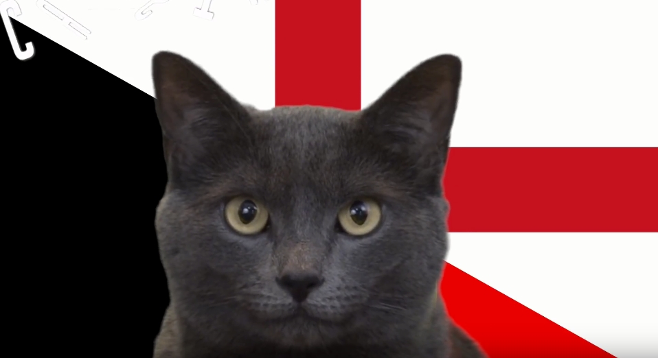 Mèo tiên tri dự đoán kết quả Anh vs Bỉ: Cú sốc với dàn sao 