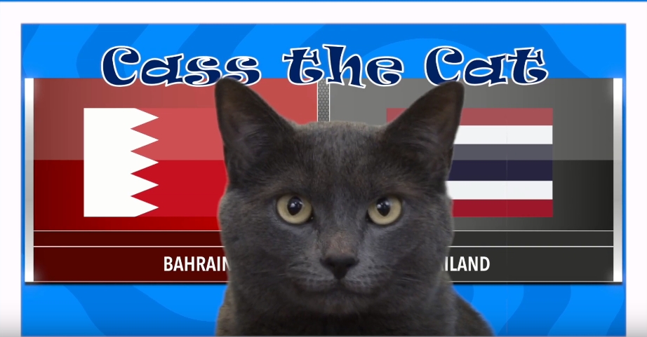 Mèo tiên tri dự đoán kết quả Thái Lan vs Bahrain