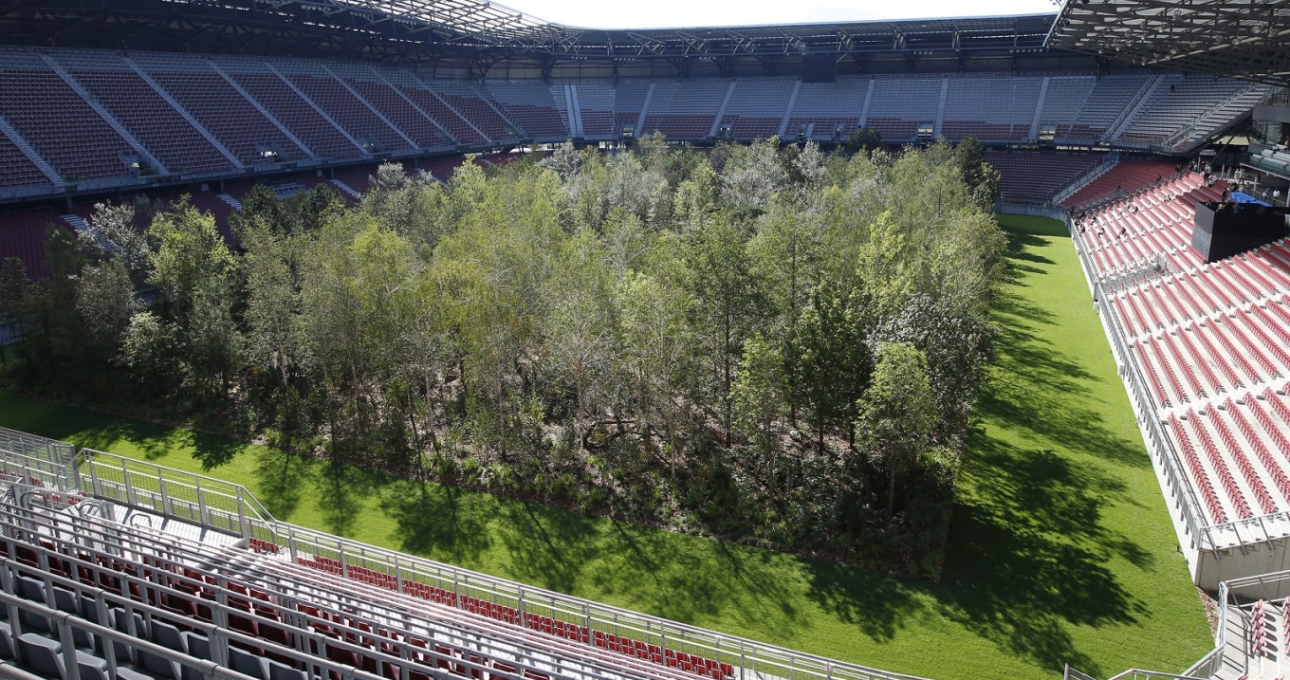 Sân vận động của Áo gây tò mò khi biến thành 1 khu rừng