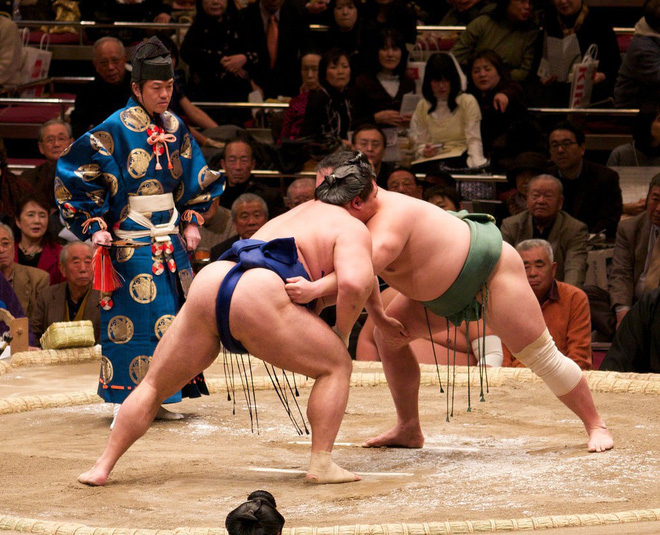 Nặng hơn 100kg, sumo có thể đi 'máy bay' như thế nào?