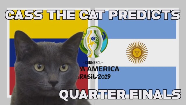 Mèo tiên tri dự đoán kết quả tỉ số Venezuela vs Argentina: Lựa chọn hay ho 