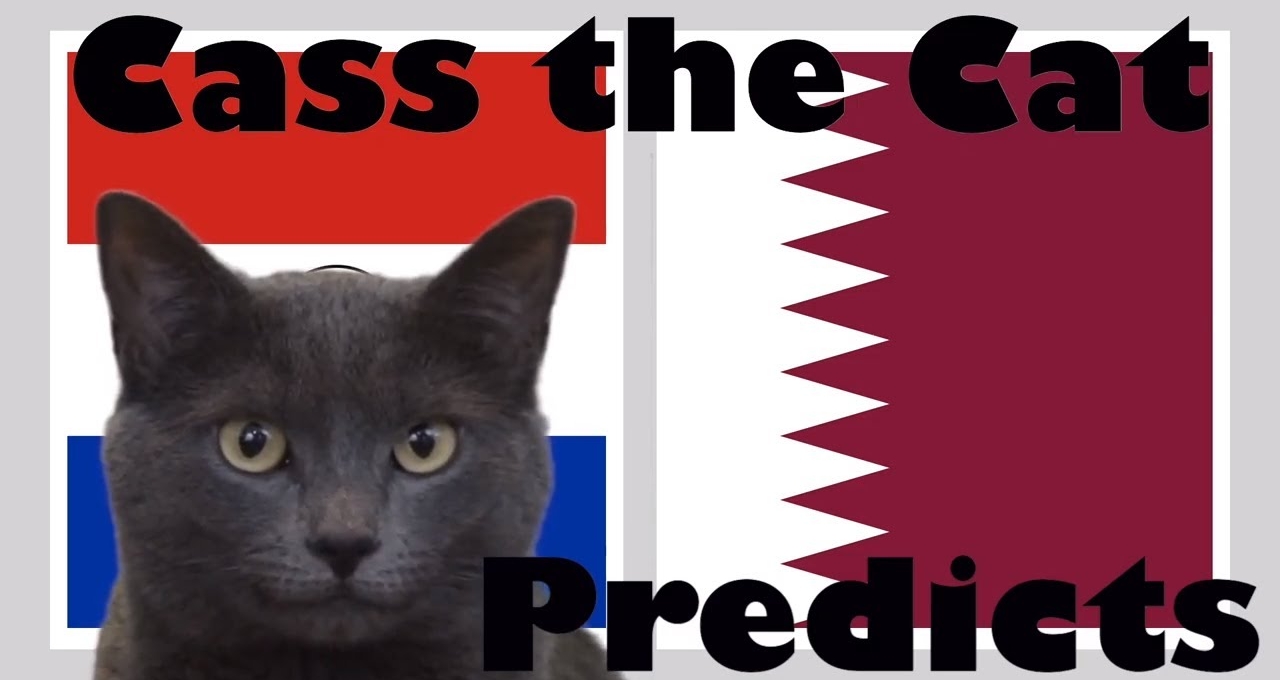 Mèo tiên tri dự đoán kết quả Paraguay vs Qatar: 3 điểm cho đại diện châu Á