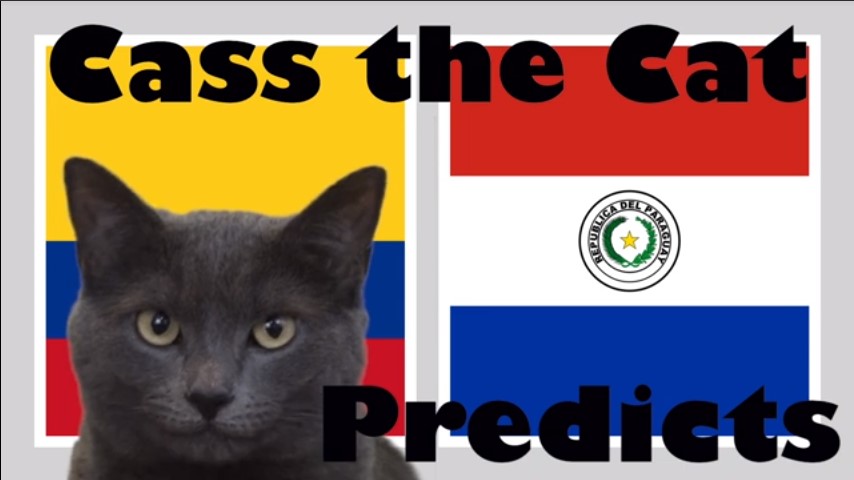 Mèo tiên tri dự đoán kết quả Colombia vs Paraguay, 02h00 ngày 24/6
