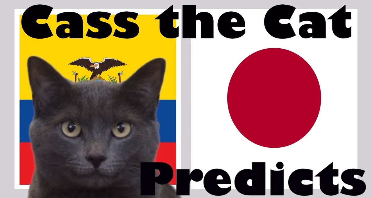 Mèo tiên tri dự đoán kết quả Nhật Bản vs Ecuador, 06h00 ngày 25/6
