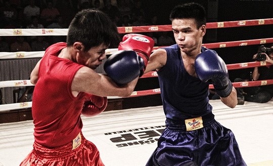 Vietnam Sports Platform cùng bước đi quyết định cho boxing Việt Nam 