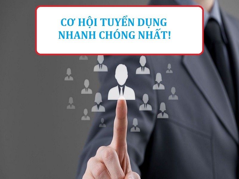 Vieclam24h.net.vn – Site tìm việc uy tín hàng đầu Việt Nam