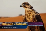 Chim tiên tri dự đoán kết quả Anh vs Panama