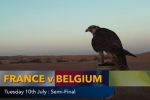Nhà tiên tri dự đoán kết quả Pháp vs Bỉ: Cú sốc tiếp theo?