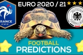 Thần Rùa tiên tri dự đoán kết quả Pháp vs Đức: Gà trống gáy vang?