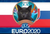 Mèo tiên tri dự đoán Ba Lan vs Slovakia: Củng cố niềm tin