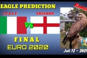 Thần điêu dự đoán Anh vs Ý: Tiến đến vinh quang
