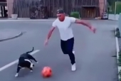 VIDEO: Chú chó gây bão vì kỹ năng đá bóng cực đỉnh