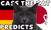 Mèo tiên tri dự đoán kết quả Đức vs Nhật Bản: Cơ hội cho đại diện châu Á?