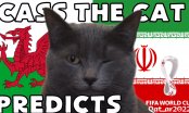 Mèo tiên tri dự đoán kết quả Iran vs Xứ Wales: Thêm một bất ngờ?
