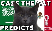Mèo thần tài dự đoán kết quả Ả Rập Xê Út vs Mexico: Cơ hội mong manh
