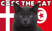 Mèo tiên tri dự đoán kết quả Đan Mạch vs Tunisia: Lựa chọn uy tín?
