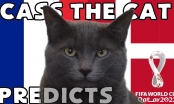 Mèo tiên tri dự đoán kết quả Pháp vs Đan Mạch: Lựa chọn bất ngờ!