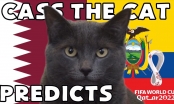 Mèo tiên tri dự đoán kết quả Qatar vs Ecuador: Châu Á mở hội?