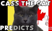 Mèo tiên tri dự đoán kết quả Bỉ vs Canada: Kịch bản bất ngờ!