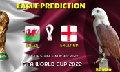Đại bàng Romeo dự đoán tỷ số Anh vs Xứ Wales: Niềm vui cho kẻ mạnh