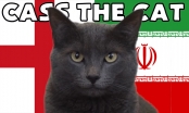 Mèo tiên tri dự đoán kết quả Anh vs Iran: Niềm vui gọi tên ai?