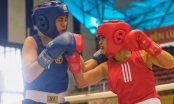 Boxing Việt Nam chờ đợi sự bùng nổ tại SEA Games 31
