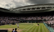 Chính thức: Wimbledon cấm Medvedev và các tay vợt Nga tham gia giải đấu